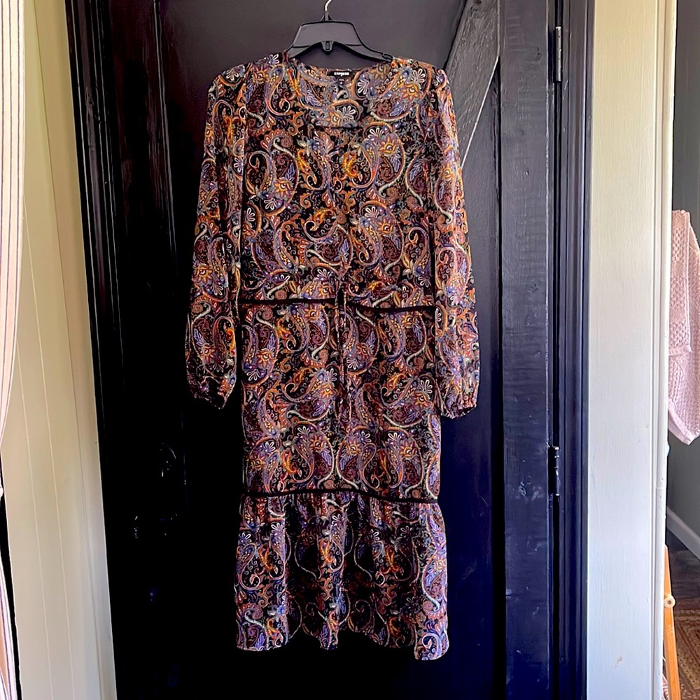 Sheer express dress. Worn once. Size small.